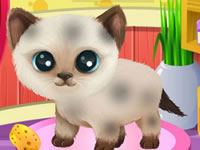 Paws To Beauty 3